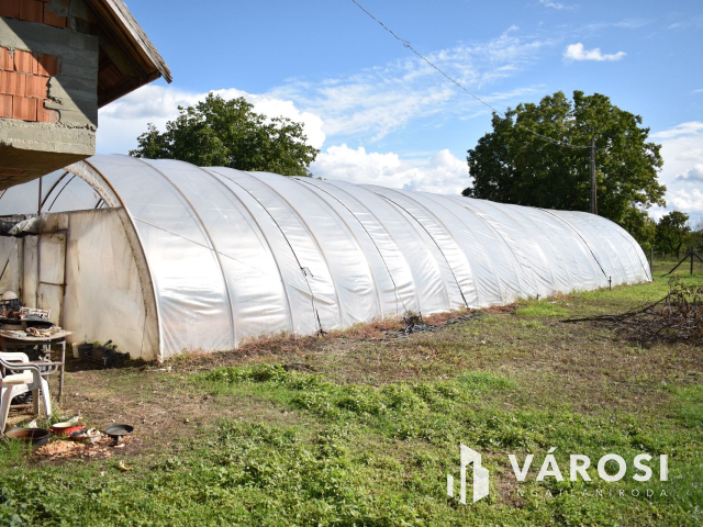 Kiváló lehetősség termelőknek!