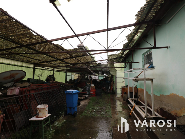 Békéssámsoni major