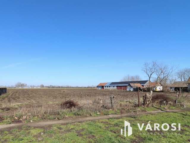 Újkígyóson 2 db telek együtt eladó