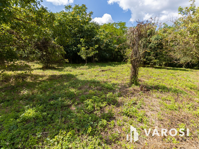 Pilismaróton, belterületi telek, most akciós áron eladó