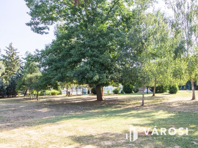 Üzlethelyiség, étterem