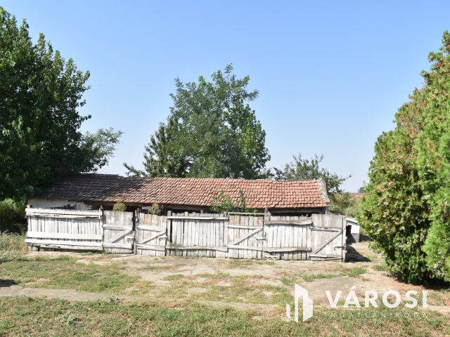 Minden egy helyen, egy igazi tanyán!