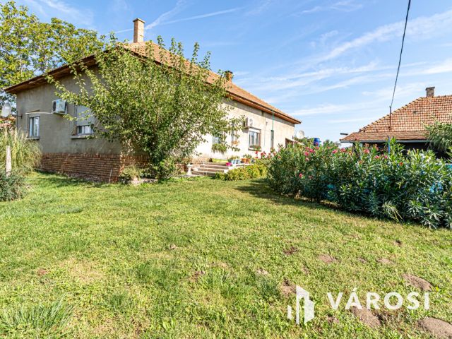 Gazdálkodásra, fóliázásra alkalmas Szatymazi tanya