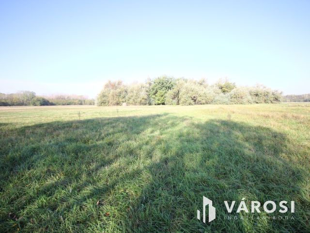 Balástyai tanyáknál