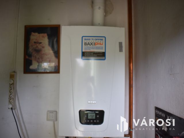 Két generációs családi ház a románvároson!