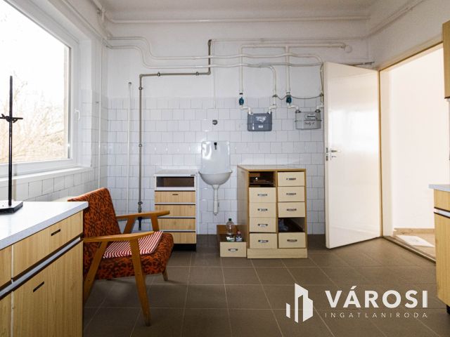 Medgyesbodzás fő utcáján ingatlan eladó