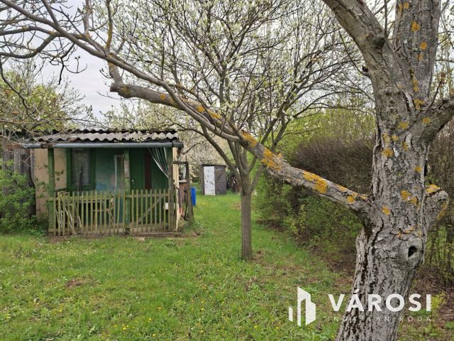 Jó telek, jó helyen. Most kell lépni!