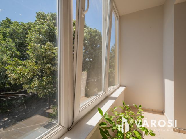 Napfényes, 83 m2 lakás + 102 m2 telekrész üzleti célra